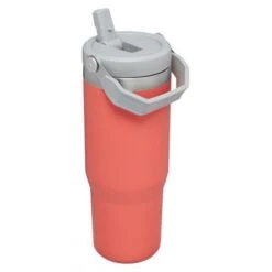 Stanley The IceFlow Flip Straw Tumbler Guava